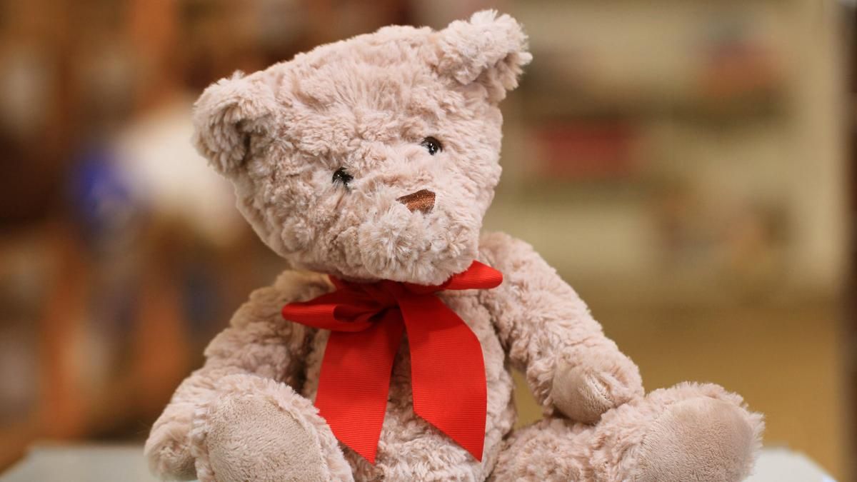 Мужчине подарили мишку с голосом его покойной мамы: трогательное видео Мужчине подарили мишку с голосом его покойной мамы: трогательное видео