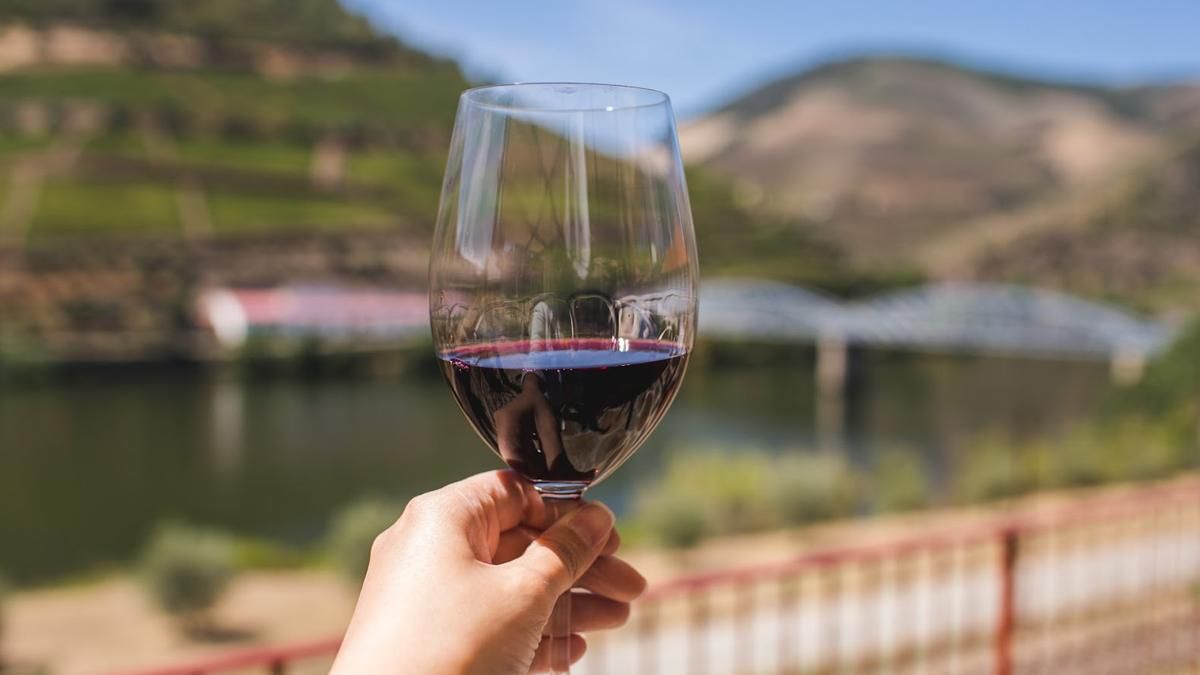 Следует знать: отвечаем на 6 популярных вопросов о вине - Life Следует знать: отвечаем на 6 популярных вопросов о вине - Life