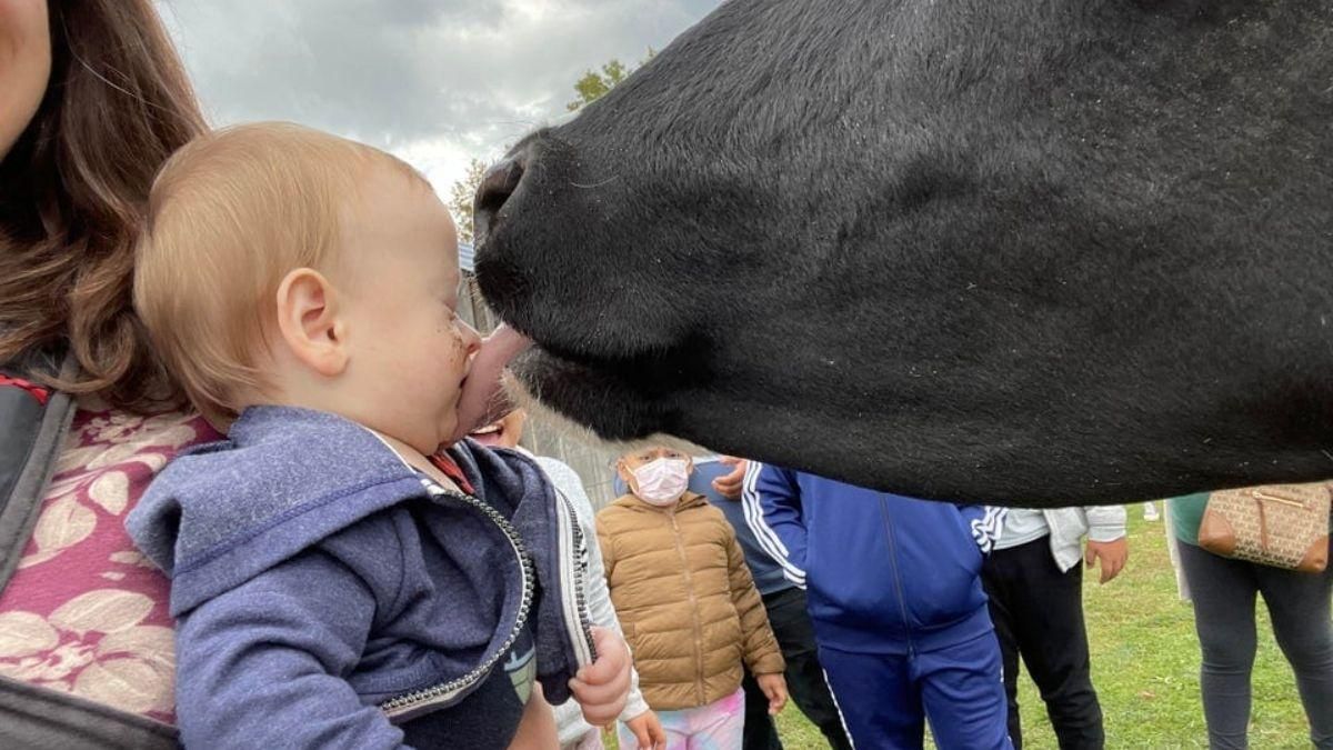 Дети – настоящая радость: забавные фото, доказывающие это - Life Дети – настоящая радость: забавные фото, доказывающие это - Life