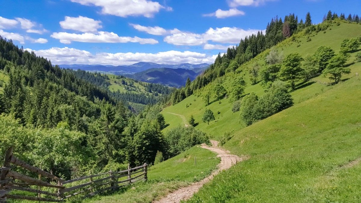 Карпати заворожують своєю красою Карпати заворожують своєю красою