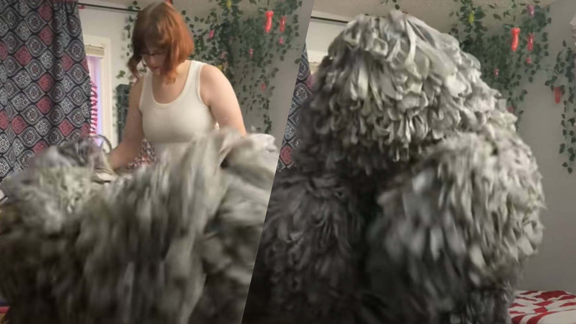 Популярная блоггерша покорила сеть необычным костюмом Популярная блоггерша покорила сеть необычным костюмом