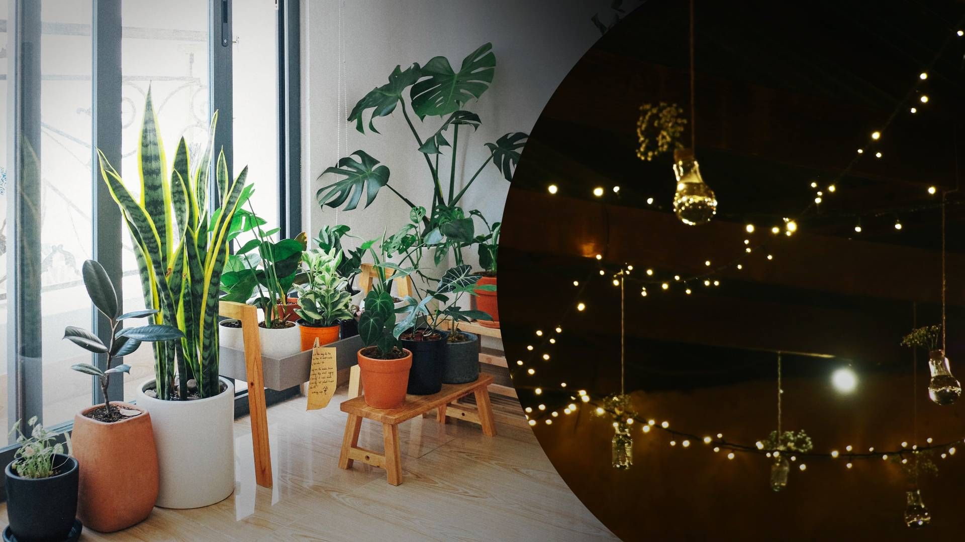 Дрібнички для атмосфери - Life Дрібнички для атмосфери - Life