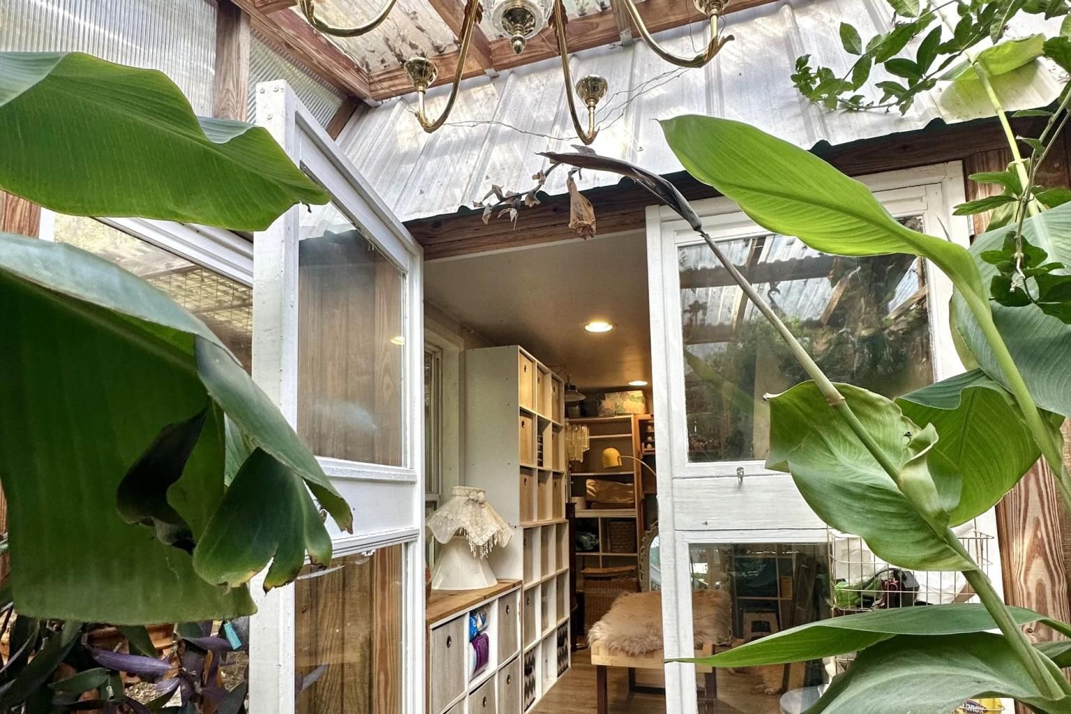 Пара переконана, що "можна жити поза електромережею" Пара переконана, що "можна жити поза електромережею"