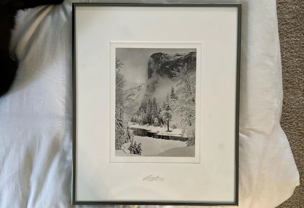 Женщина приобрела известное фото за 4 доллара Женщина приобрела известное фото за 4 доллара