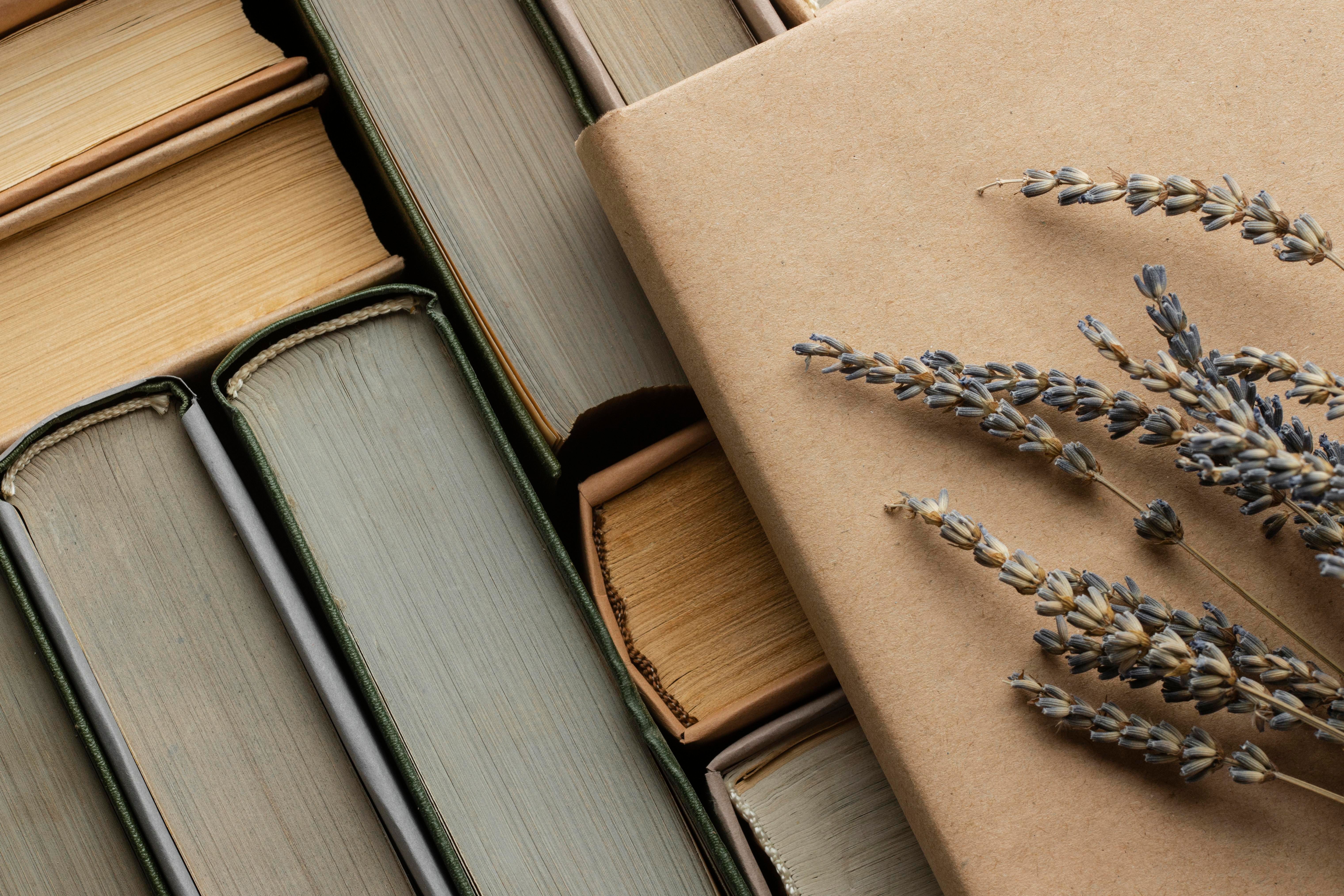 Некоторые книги стоят того, чтобы прочитать их хотя бы раз Некоторые книги стоят того, чтобы прочитать их хотя бы раз