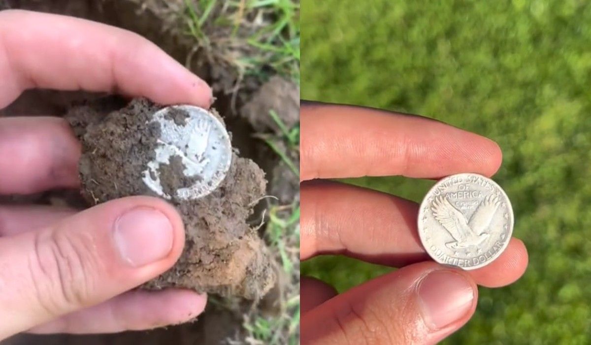 Такие монеты могут стоить несколько тысяч долларов Такие монеты могут стоить несколько тысяч долларов