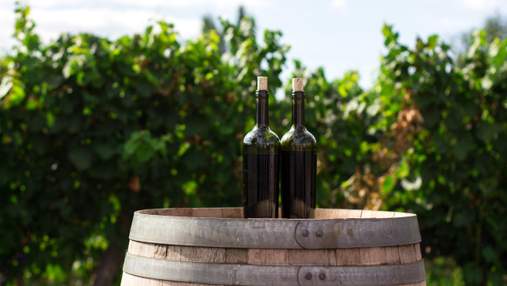 Сталь чи дубова діжка: як витримка впливає на вино
