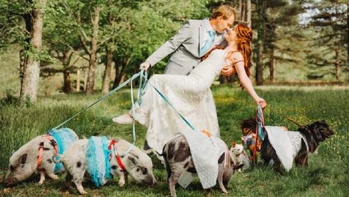 Весілля з поросятами та песиками: пара запросила на святкування всіх своїх тварин – милі фото